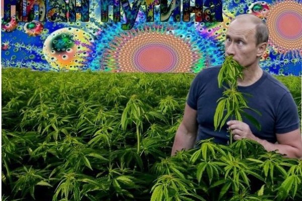 Кракен ссылка pw