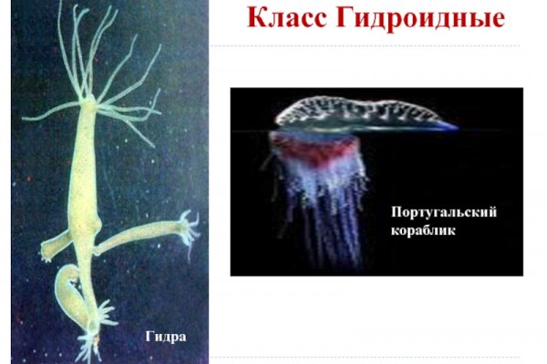 Кракен сайт 1kraken me вход